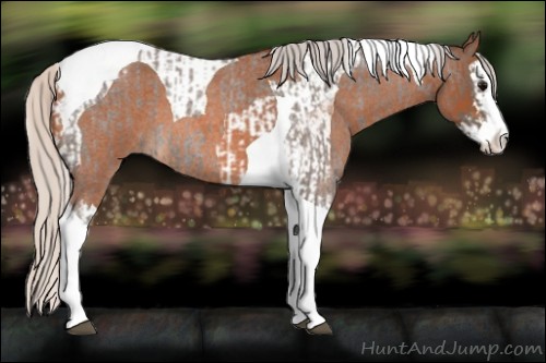 Horse Color:Silver Blue Roan Splash Tobiano  and Silver Bay Roan Splash Tobiano 
