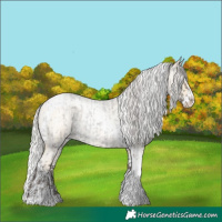 Horse Color:Silver Smoky Blue Roan Splash Tobiano  and Silver Smoky Blue Roan Pearl Splash Tobiano 