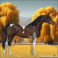 Horse Color:Brown Tobiano