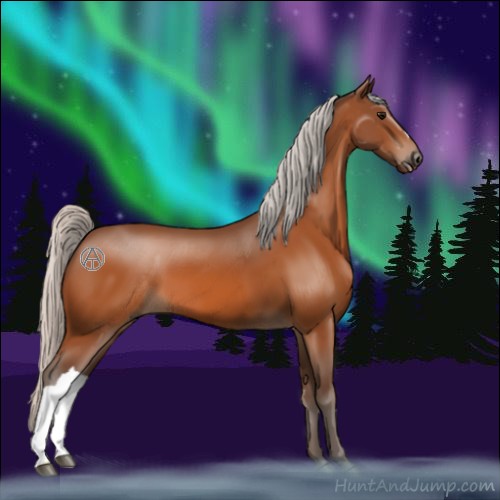 Horse Color:Silver Bay