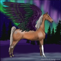 Horse Color:Silver Brown