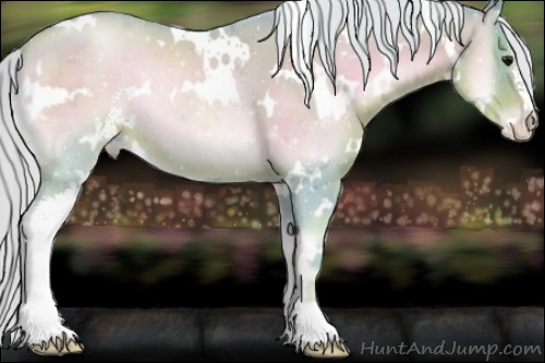 Horse Color:Watercolor White Spotted Silver Blue Onyx Pearl Sabino 