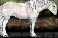 Horse Color:Watercolor White Spotted Silver Blue Onyx Pearl Sabino