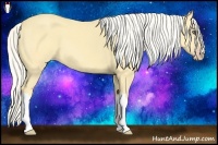 Horse Color:Silver Amber Cream Champagne Dun 