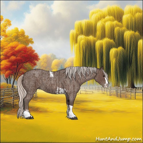 Horse Color:Silver Blue Roan Splash Tobiano  and Silver Blue Roan Splash Tobiano 
