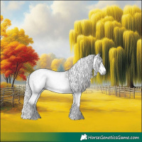 Horse Color:Gray White Spotted Black  and Gray White Spotted Silver Black 