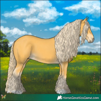 Horse Color:Palomino 