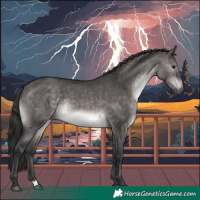 Horse Color:Platinum Brown Dun