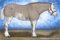Horse Color:Silver Grullo Roan Splash Tobiano and Silver Grullo Roan Splash