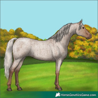 Horse Color:Silver Grullo Roan Brindle 