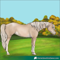 Horse Color:Chocolate Palomino Pearl 