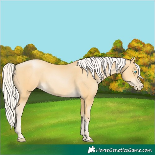 Horse Color:Silver Buckskin Pearl 