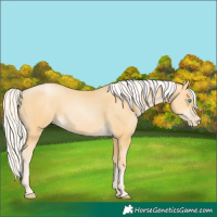 Horse Color:Silver Buckskin Pearl