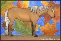 Horse Color:Silver Buckskin 