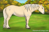 Horse Color:Palomino Dun Splash 