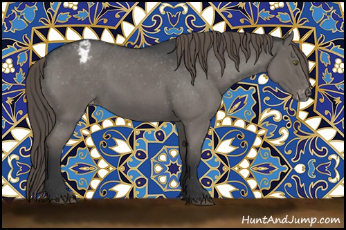 Horse Color:Grullo Roan Appaloosa 