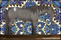 Horse Color:Grullo Roan Appaloosa 