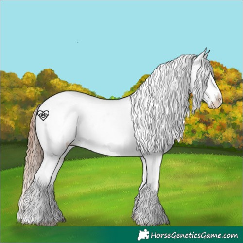 Horse Color:Classic Champagne Blanket and Classic Champagne Varnish