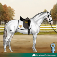 Horse Color:Brown Near Fewspot  and Bay Near Leopard 