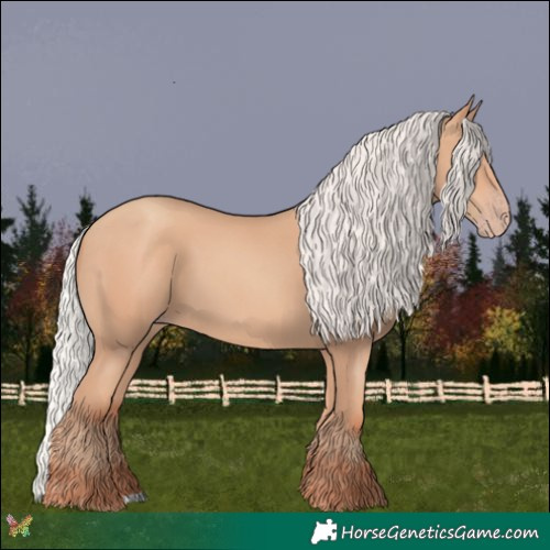 Horse Color:Silver Classic Champagne