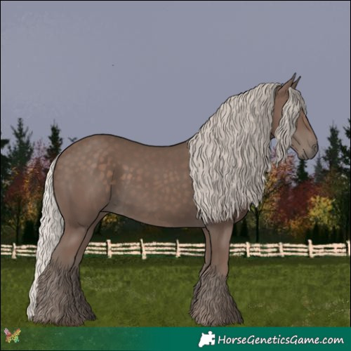 Horse Color:Silver Black 