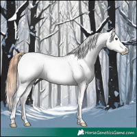 Horse Color:Black Appaloosa  and Black Appaloosa 