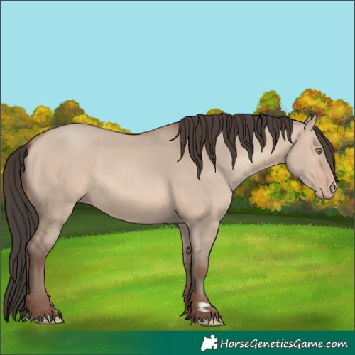 Horse Color:Sable Champagne Dun 