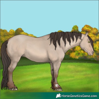 Horse Color:Sable Champagne Dun