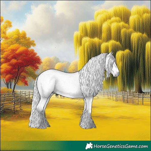 Horse Color:Gray White Spotted Black and Gray White Spotted Black
