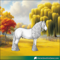 Horse Color:Gray White Spotted Black  and Gray White Spotted Black 