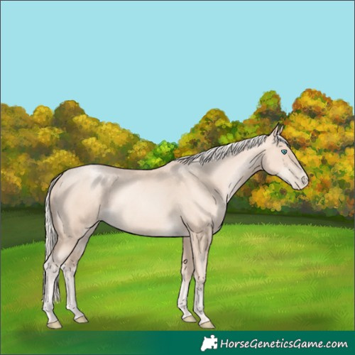 Horse Color:Gold Cream Champagne Pearl 