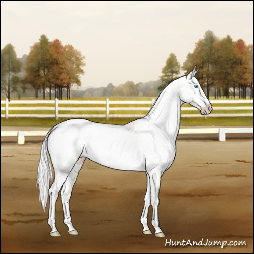 Horse Color:Cremello Roan Dun 
