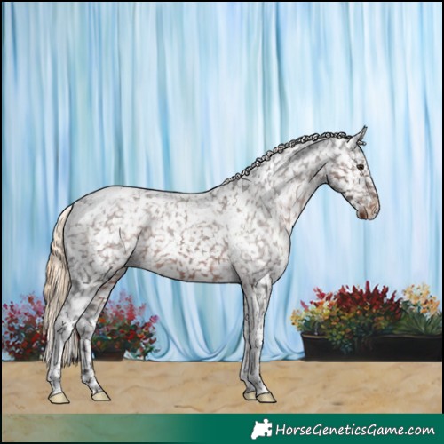 Horse Color:Liver Chestnut Tobiano Snowflake Varnish