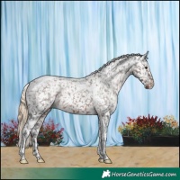 Horse Color:Liver Chestnut Tobiano Snowflake Varnish