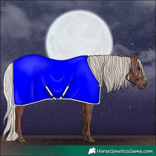 Horse Color:Silver Black 