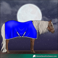 Horse Color:Silver Black 