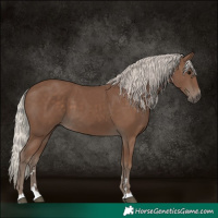 Horse Color:Silver Black 