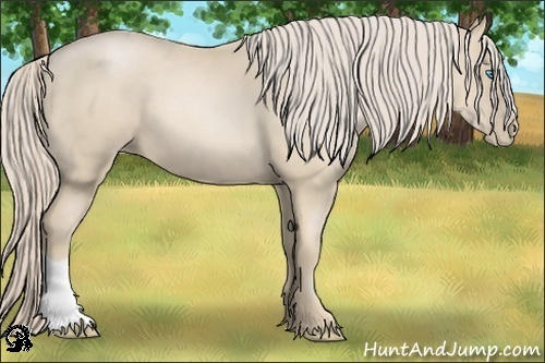 Horse Color:Palomino Pearl 
