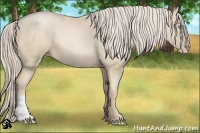 Horse Color:Palomino Pearl