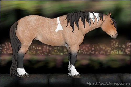 Horse Color:Bay Roan Tobiano 