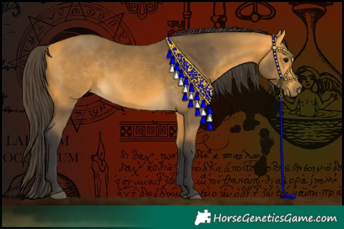 Horse Color:Buckskin