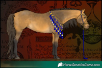 Horse Color:Buckskin 