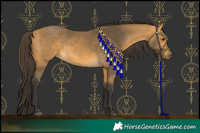 Horse Color:Buckskin 