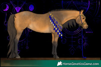 Horse Color:Buckskin 