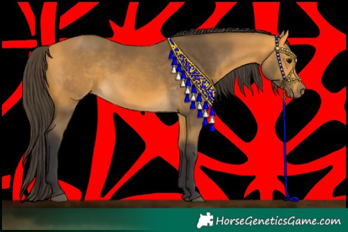 Horse Color:Buckskin 