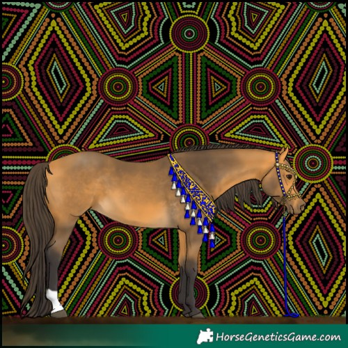 Horse Color:Buckskin 