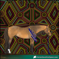 Horse Color:Buckskin 