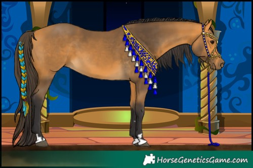 Horse Color:Buckskin 