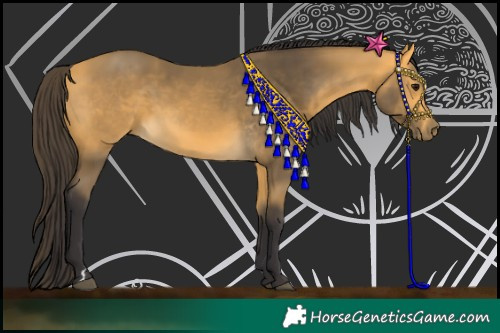 Horse Color:Buckskin 