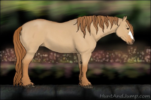 Horse Color:Red Dun Roan 